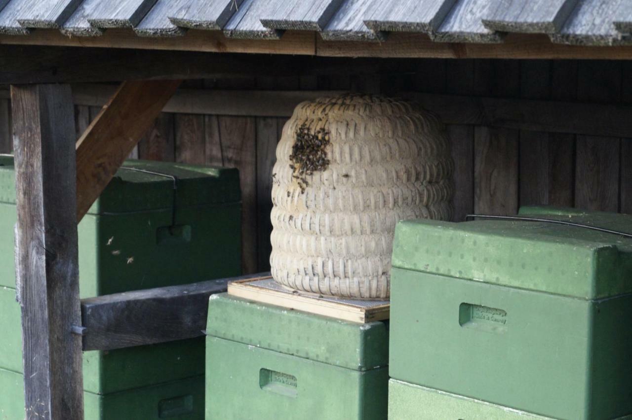 Ferienhaus Wahlers Bispingen Kültér fotó