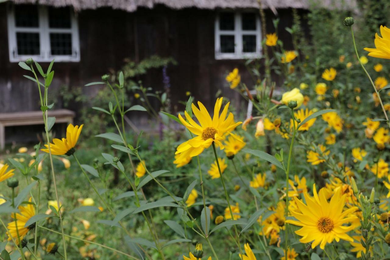 Ferienhaus Wahlers Bispingen Kültér fotó